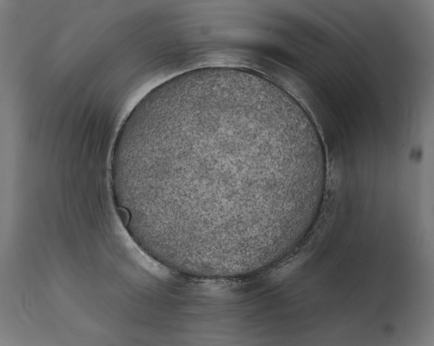 X0000111480803200907281201