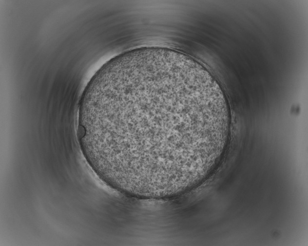 X0000111480804200907281201
