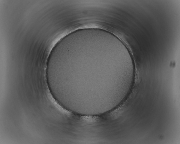 X0000111480805200907281201