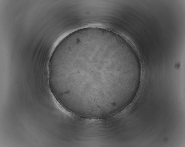 X0000111480808200907281201