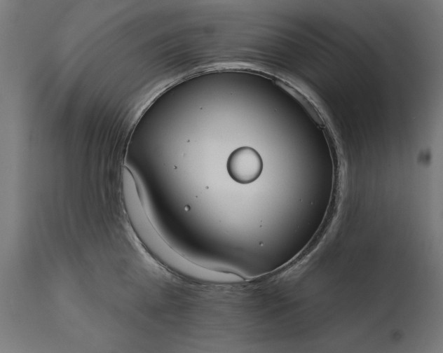 X0000111480809200907281201