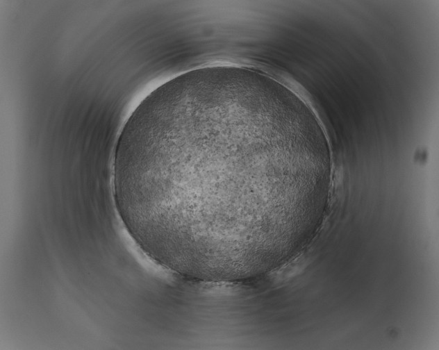 X0000111480811200907281201