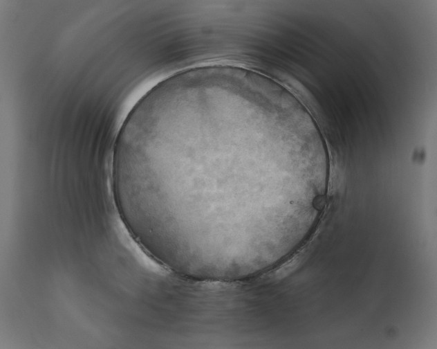 X0000111480812200907281201