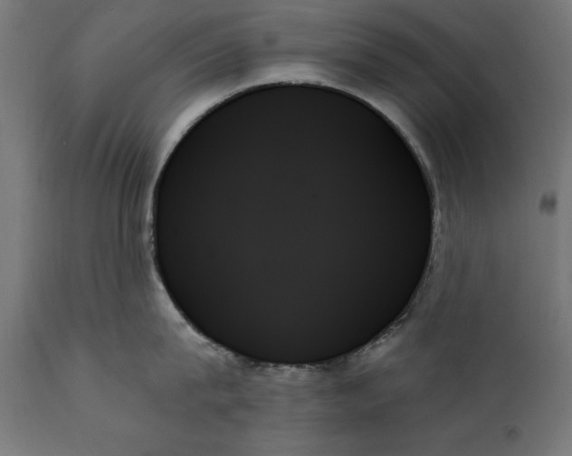 X0000111480815200907281201