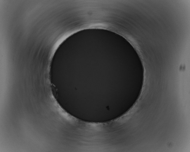 X0000111480816200907281201