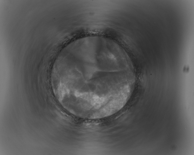 X0000111480817200907281200