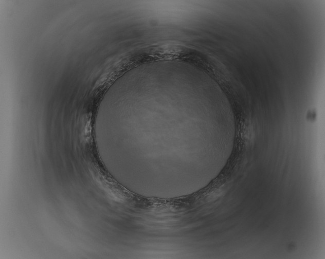 X0000111480818200907281200