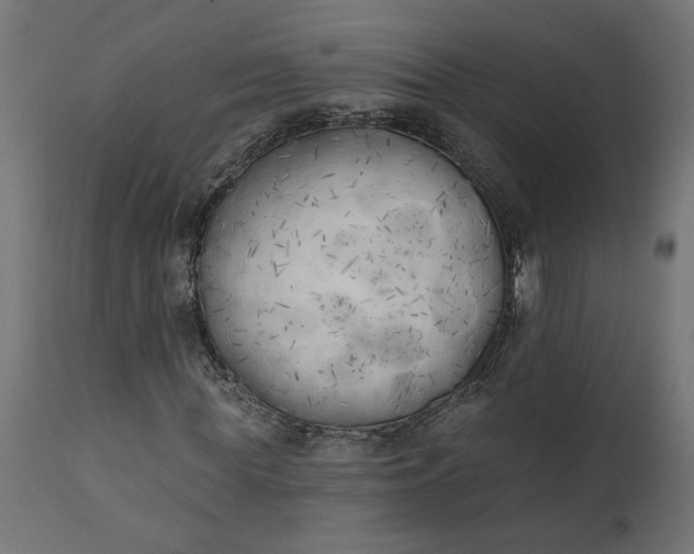 X0000111480819200907281200