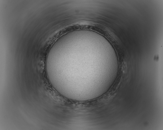X0000111480821200907281200