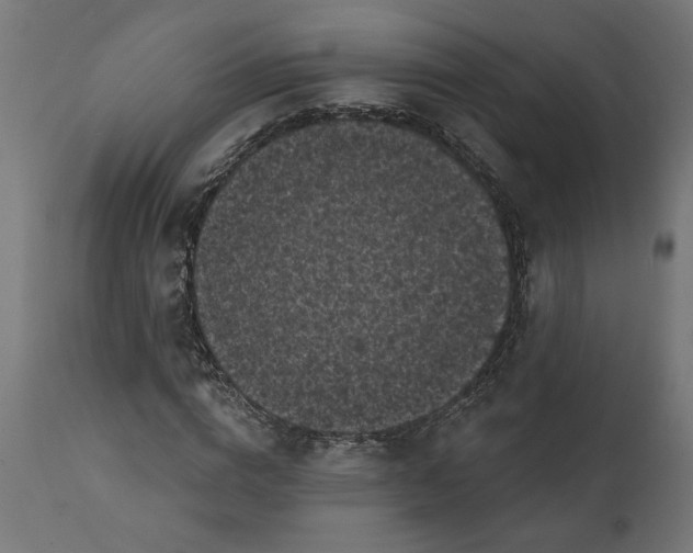 X0000111480824200907281200