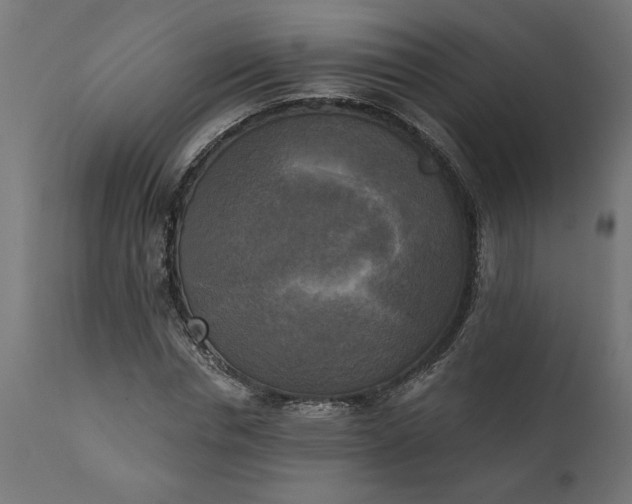 X0000111480826200907281200