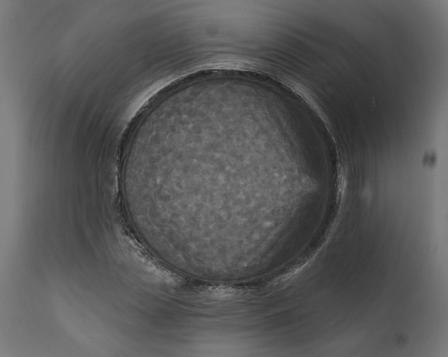 X0000111480829200907281200
