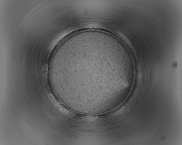 X0000111480831200907281200