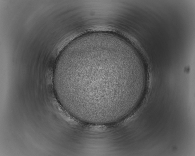 X0000111480833200907281200