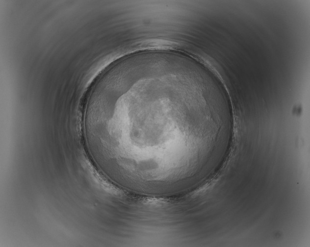 X0000111480835200907281200
