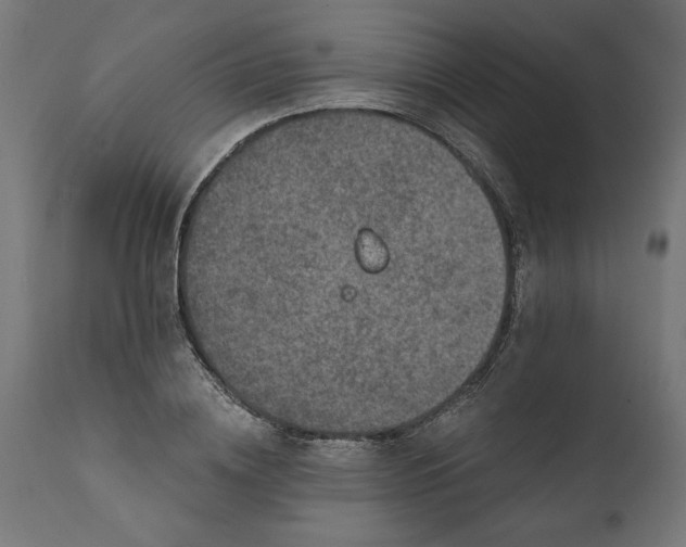 X0000111480836200907281200
