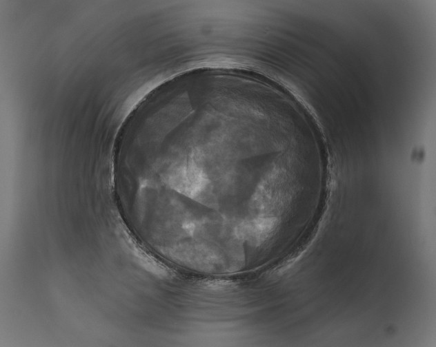 X0000111480837200907281200