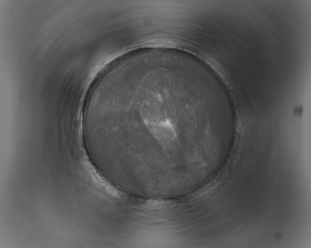 X0000111480840200907281200