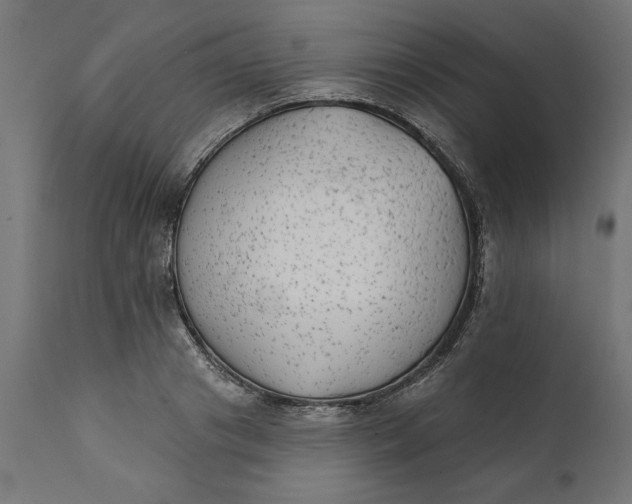 X0000111480841200907281200