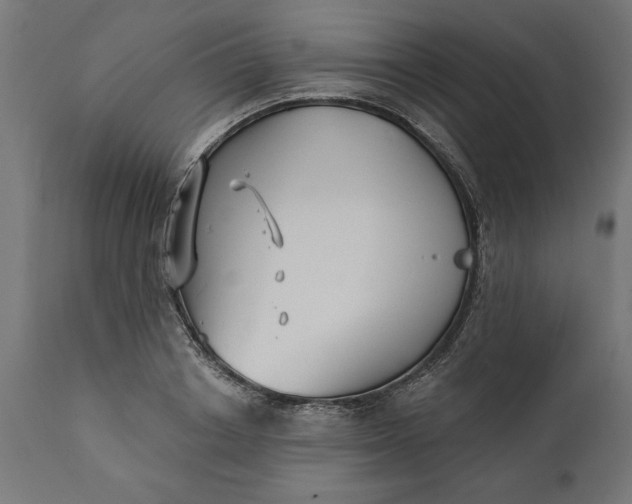 X0000111480842200907281200