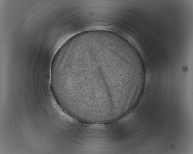 X0000111480844200907281200