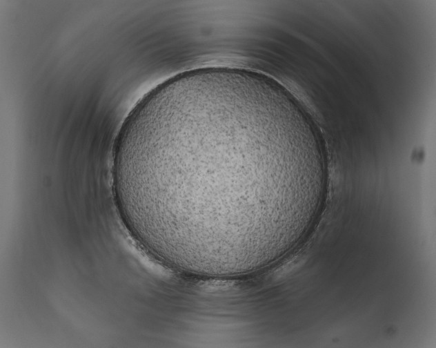 X0000111480846200907281200