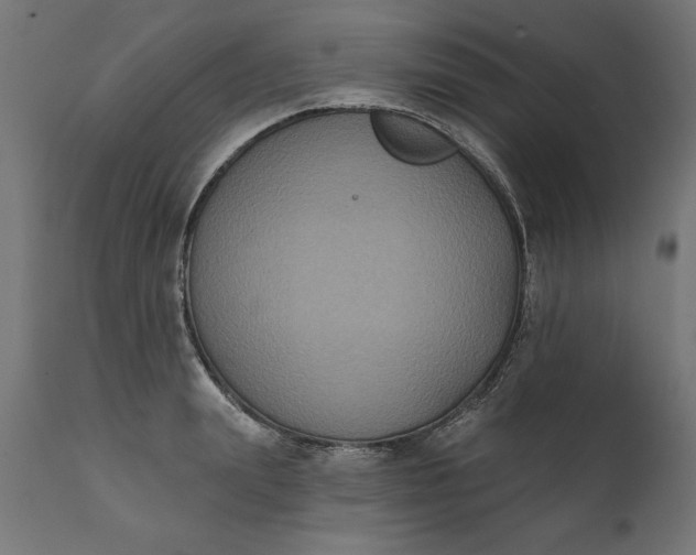 X0000111480847200907281200