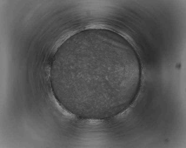 X0000111480849200907281200
