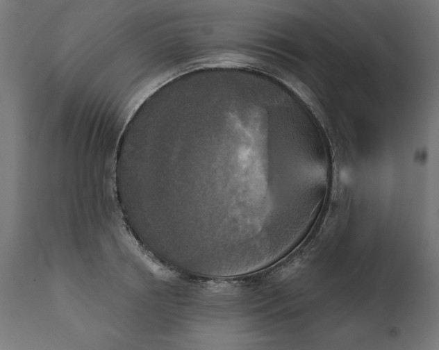 X0000111480850200907281200