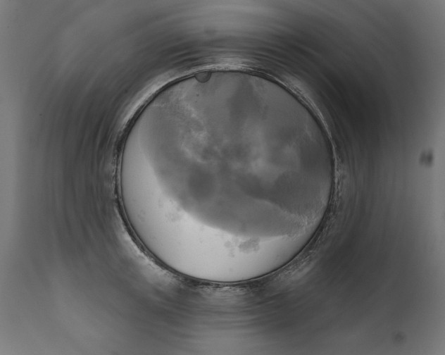 X0000111480851200907281200