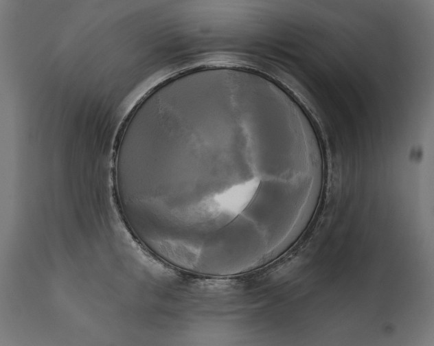 X0000111480853200907281200