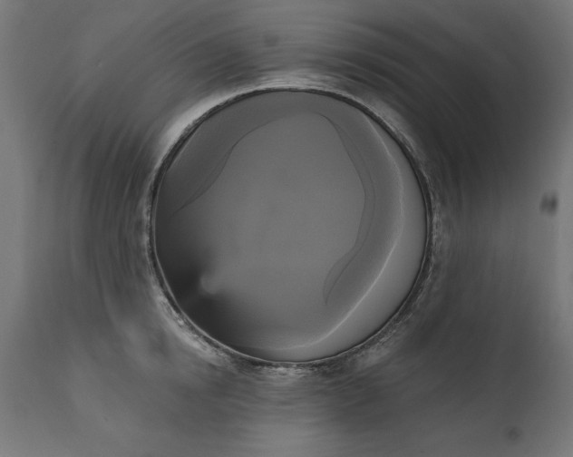 X0000111480854200907281200