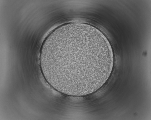 X0000111480856200907281200