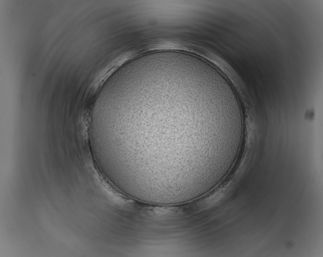 X0000111480857200907281200