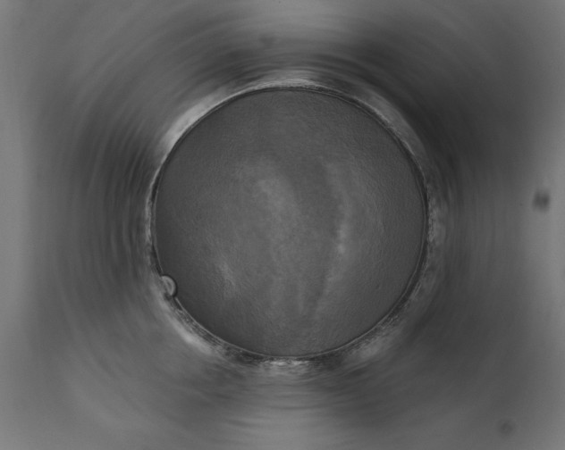 X0000111480858200907281200