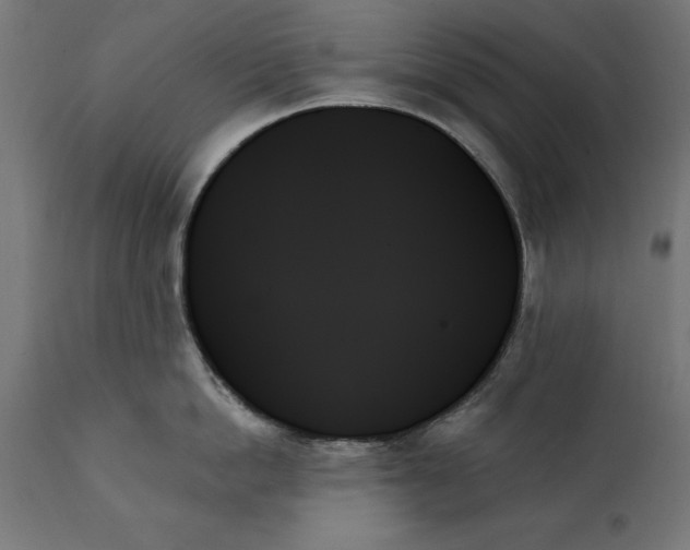 X0000111480862200907281201