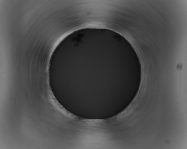 X0000111480864200907281201