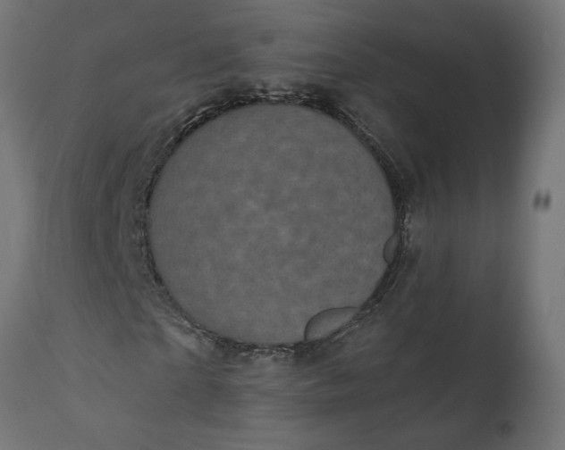 X0000111480865200907281200