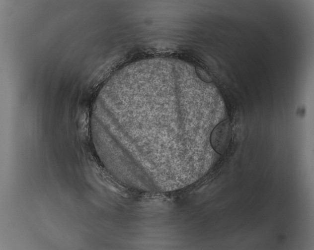 X0000111480866200907281200