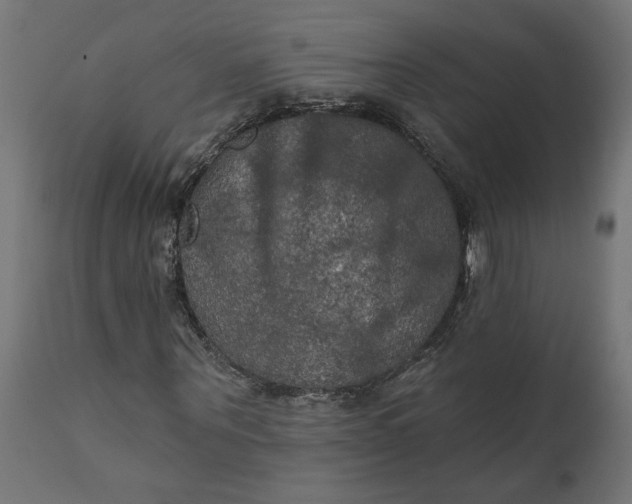 X0000111480867200907281200