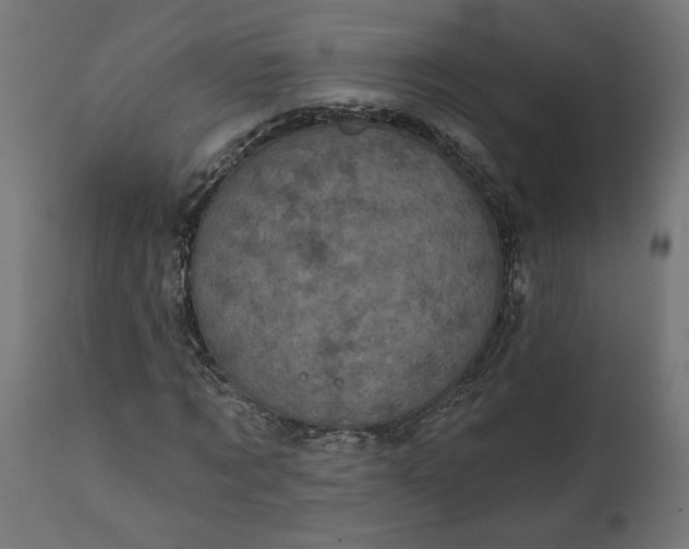 X0000111480869200907281200