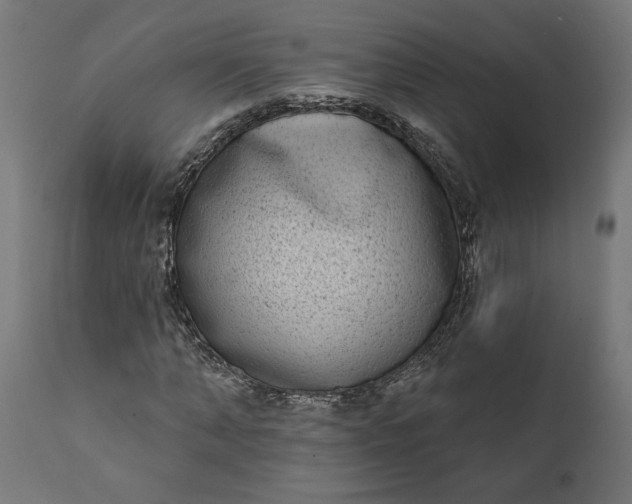 X0000111480870200907281200