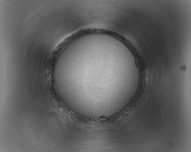 X0000111480872200907281200