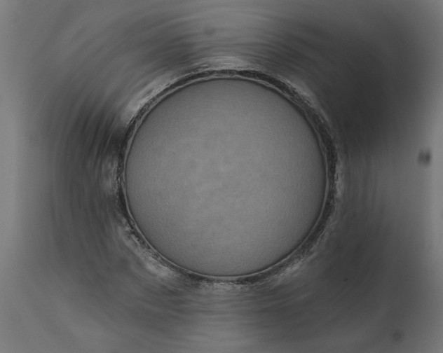X0000111480873200907281200