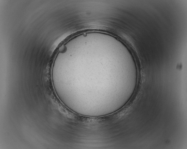 X0000111480875200907281200