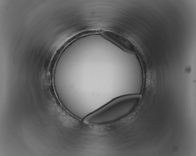 X0000111480876200907281200
