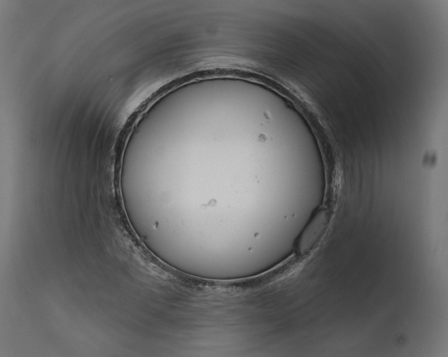 X0000111480877200907281200