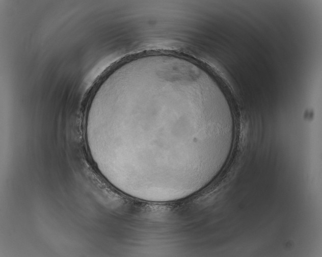 X0000111480878200907281200