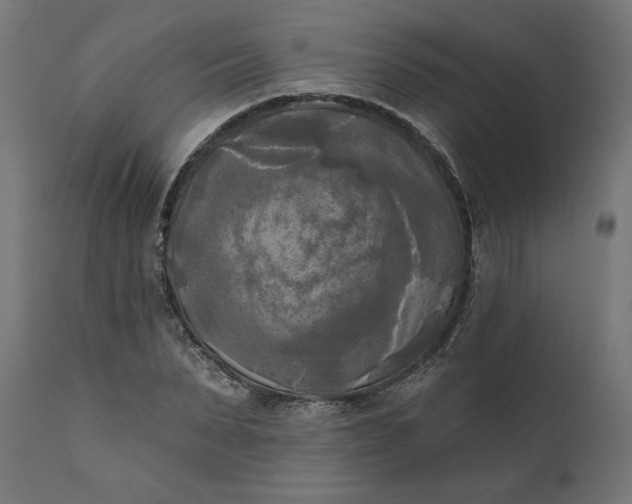 X0000111480879200907281159