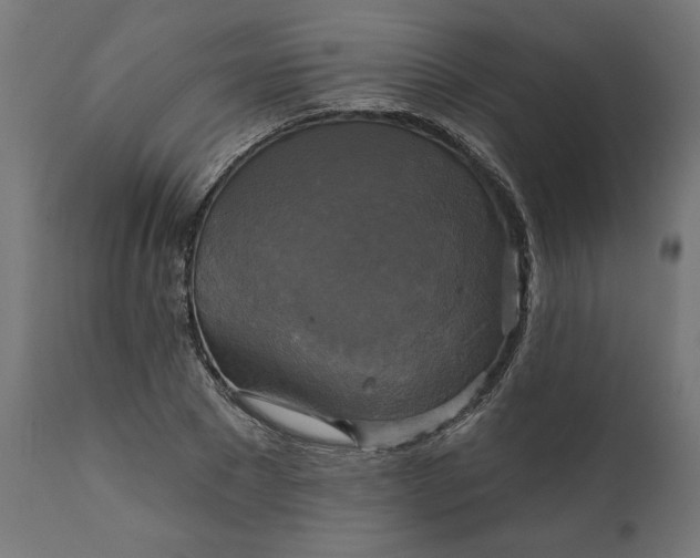 X0000111480881200907281159